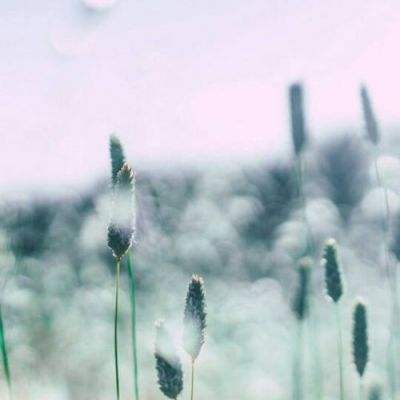 剑芒内购破解版下载